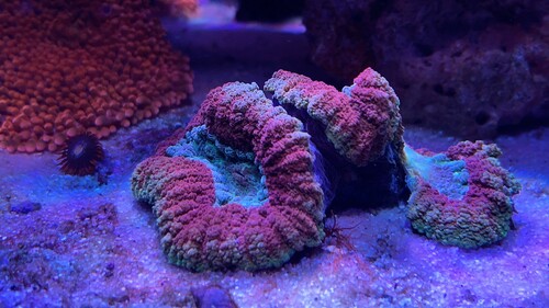 IMG_3805.jpeg
