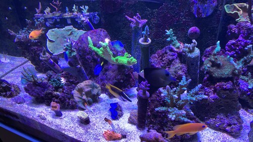IMG_1488.jpeg