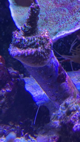 IMG_1489.jpeg