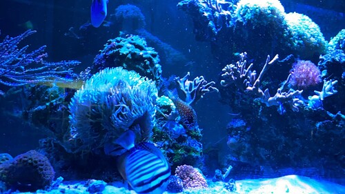 IMG_3955.jpeg