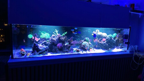 IMG_3933.jpeg