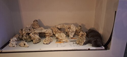 20240103_174513.jpg
