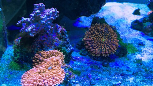IMG_4061.jpeg