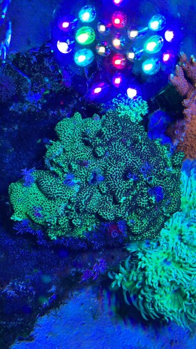 IMG_4052.jpeg