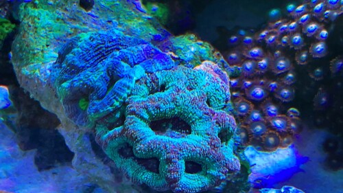 IMG_4035.jpeg