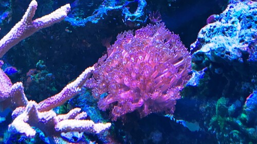 IMG_4027.jpeg