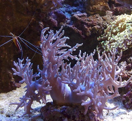 21062008127 [].jpg