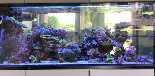 FTS01.jpg