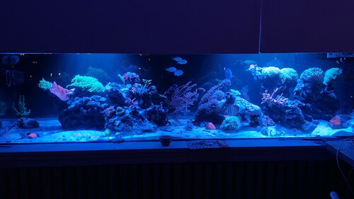 IMG_4325.jpeg