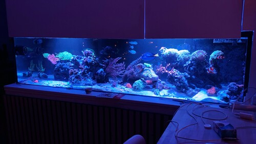 IMG_4329.jpeg