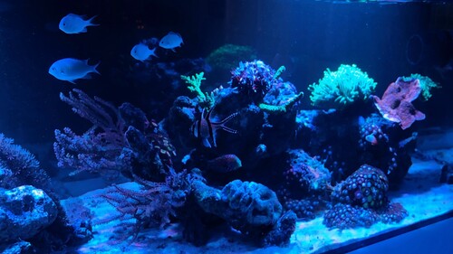 IMG_4324.jpeg