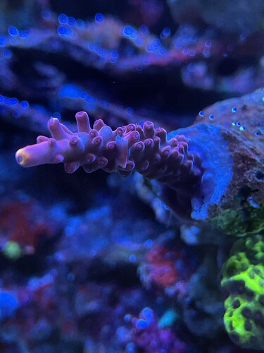 Grow2