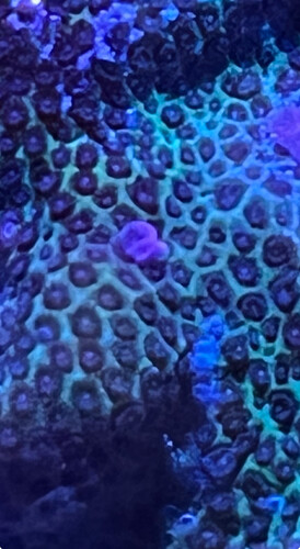 IMG_4434.jpeg