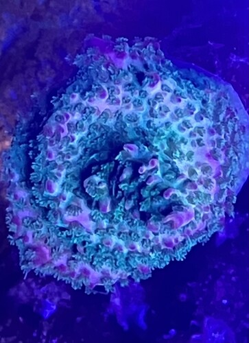 IMG_1812.jpeg