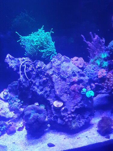 20240312_223850.jpg