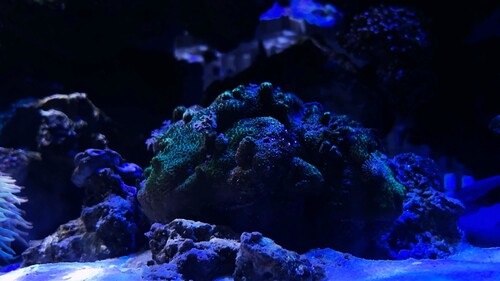 IMG_4648.jpeg