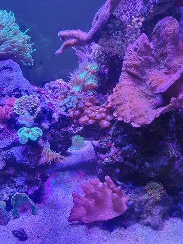20240409_182321.jpg