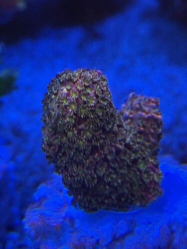 IMG_3615.jpeg