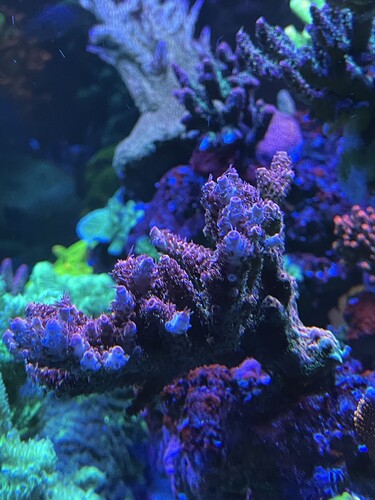 IMG_3620.jpeg
