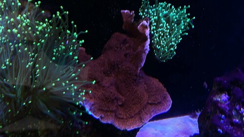 IMG_5034.jpeg