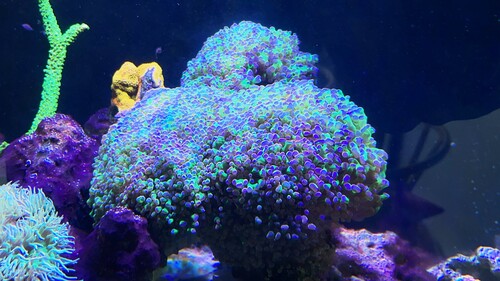 IMG_5040.jpeg