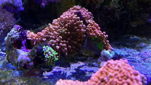 IMG_5044.jpeg