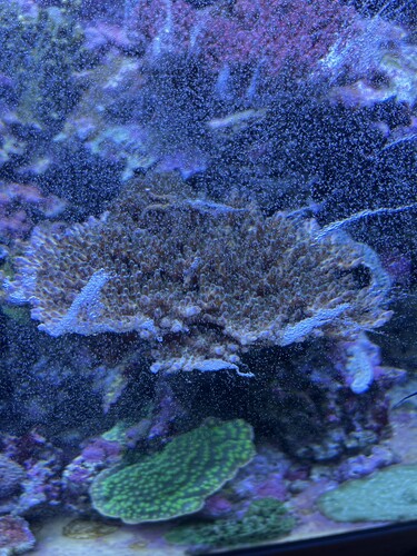 IMG_2283.jpeg