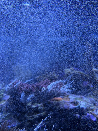 IMG_2281.jpeg