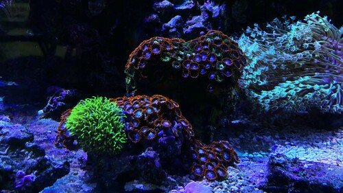 IMG_5444.jpeg