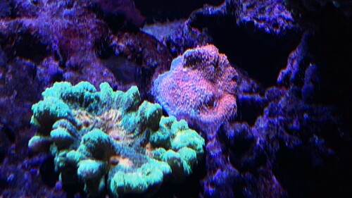 IMG_5431.jpeg
