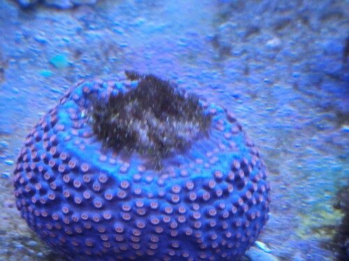 20240704_174736.jpg