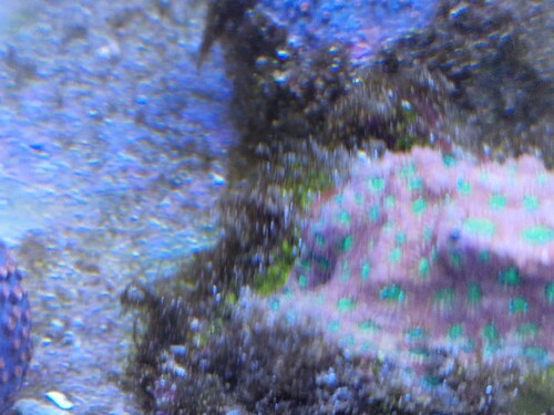 20240704_174743.jpg