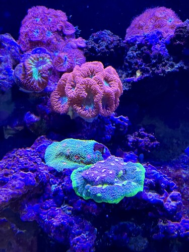 IMG_3572.jpeg