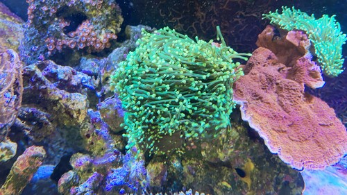 IMG_5500.jpeg