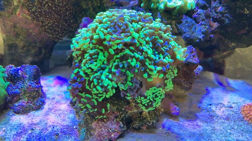 IMG_5503.jpeg