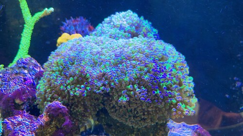 IMG_5507.jpeg