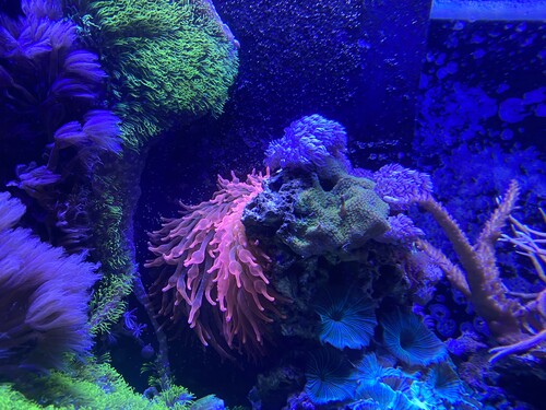 IMG_5070.jpeg
