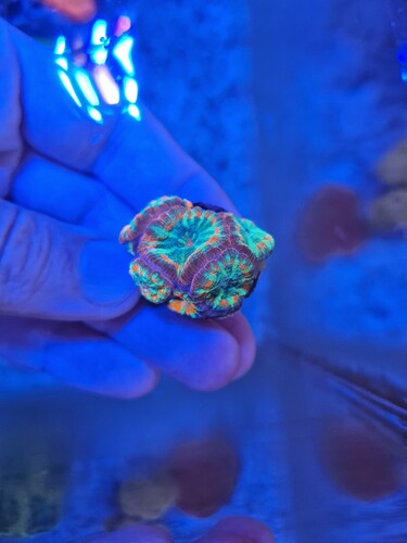 20240803_110812.jpg