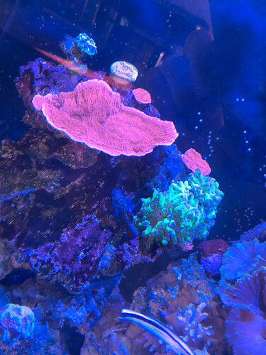 IMG_8307.jpeg