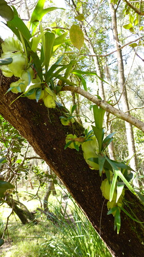 DSC07965.JPG