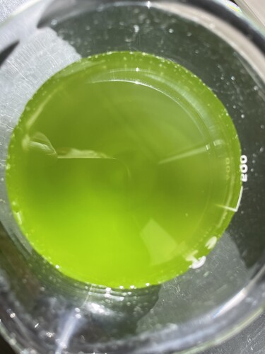 IMG_4032.jpeg