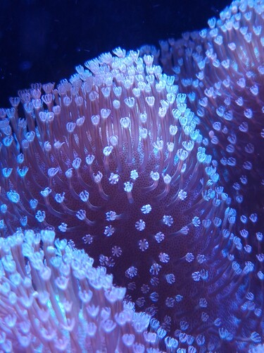 20240914_144711.jpg
