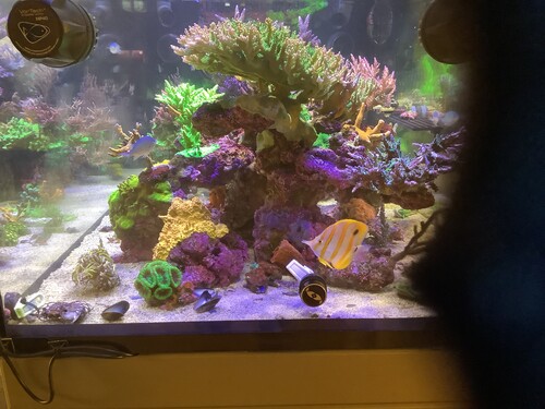 Wide photo ipad