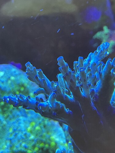 IMG_4078.jpeg