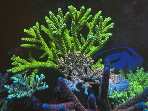 IMG_8144.jpeg