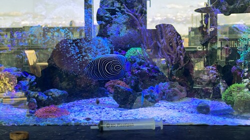 IMG_6067.jpeg