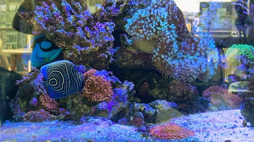 IMG_6063.jpeg