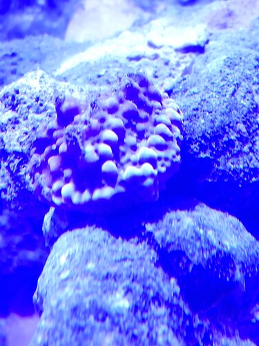 20241013_171807.jpg