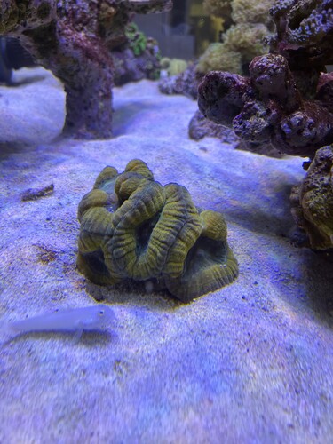 IMG_4526.jpeg