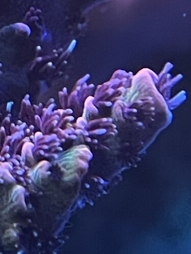 IMG_4256.jpeg